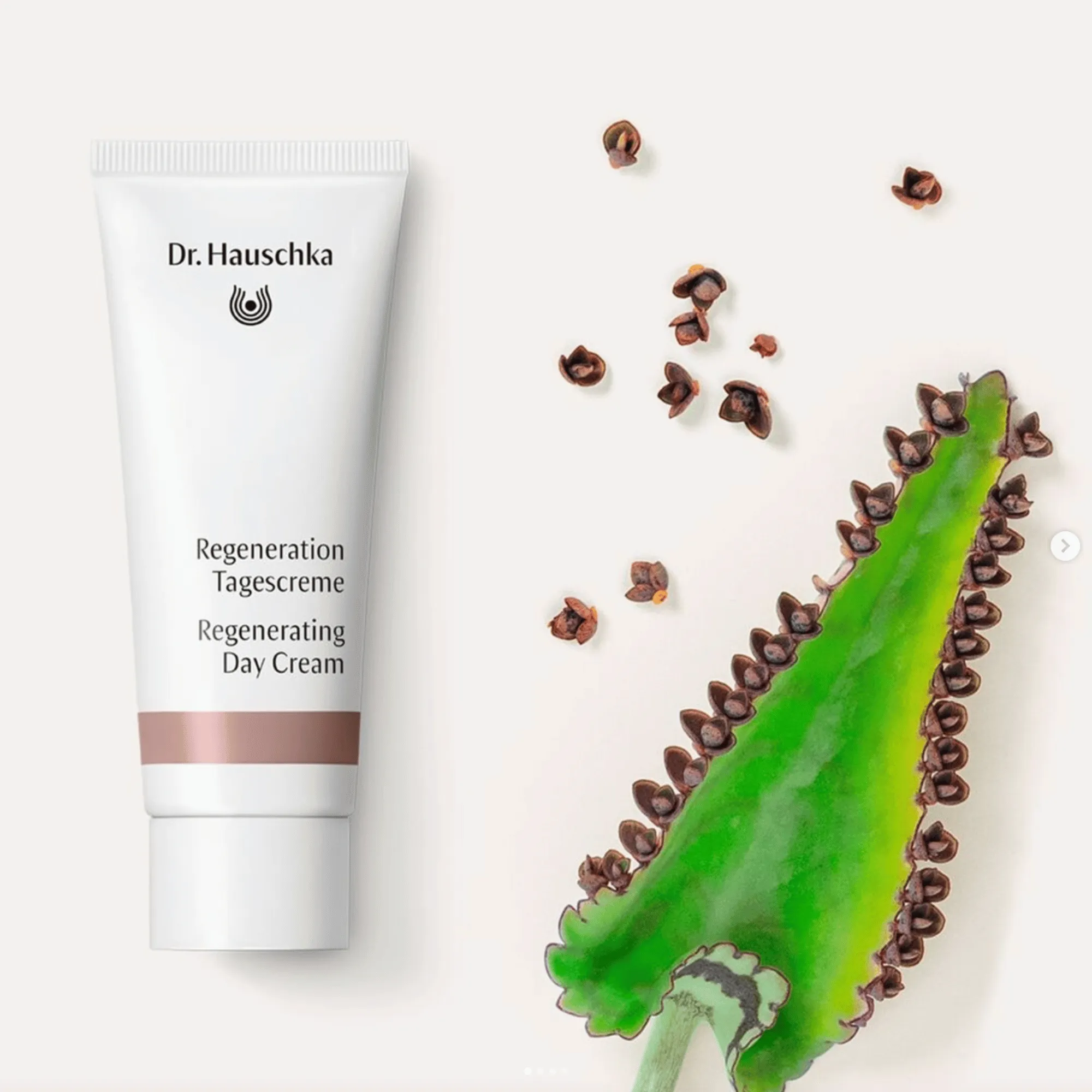 Dr. Hauschka Regenerating Day Cream