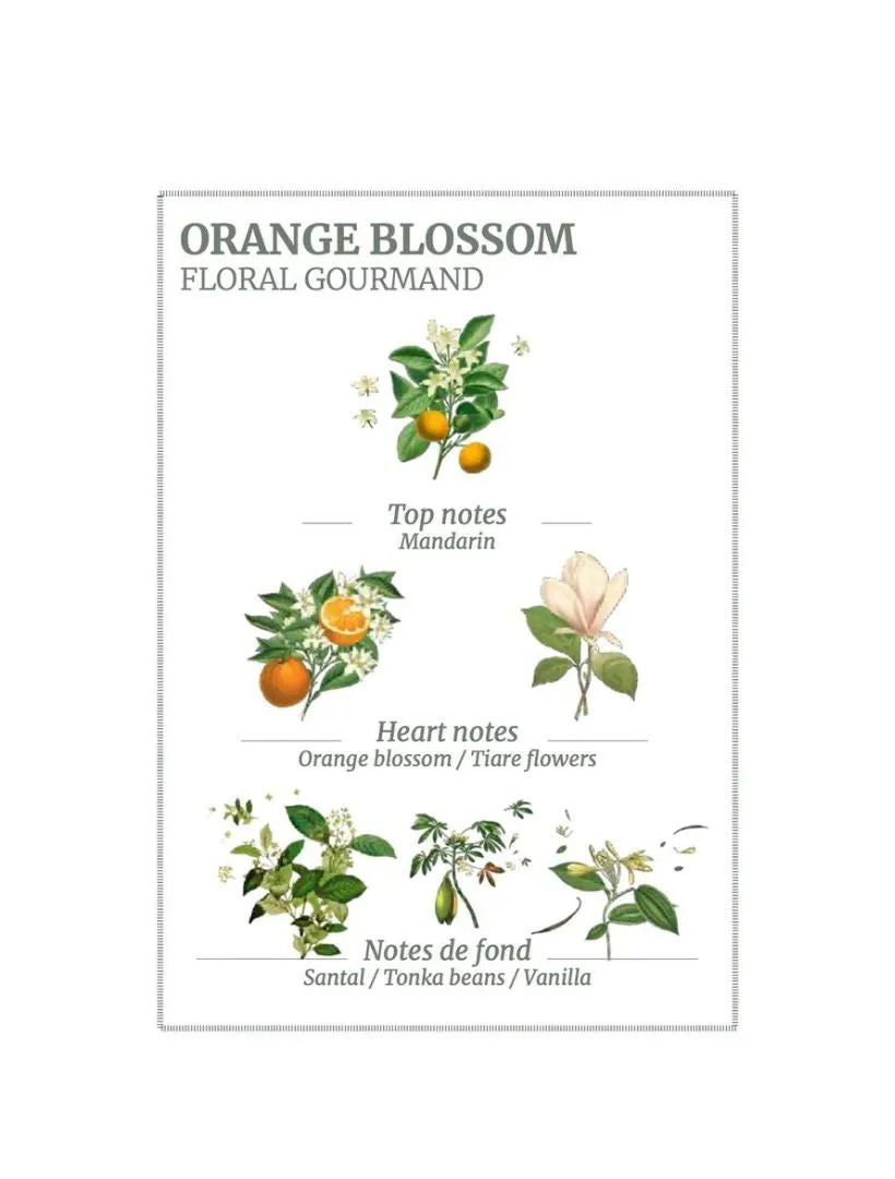 Orange Blossom Body Lotion 250ml