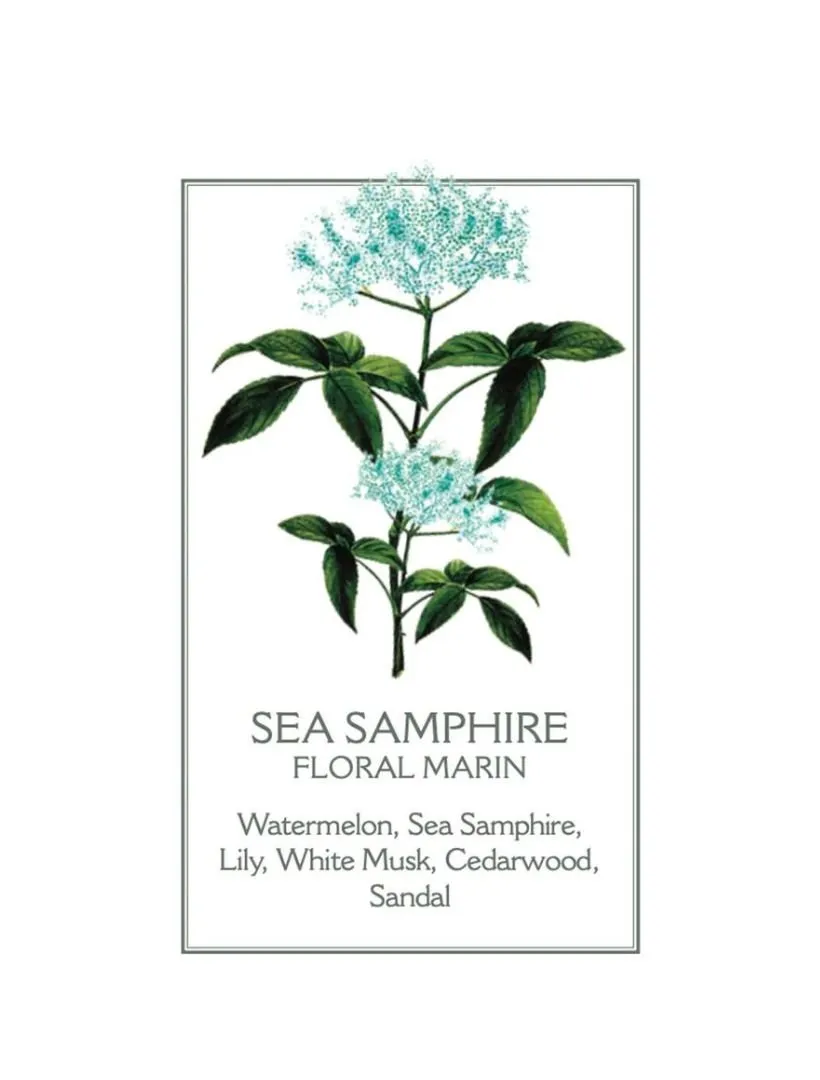 Sea Samphire Body Lotion 250ml