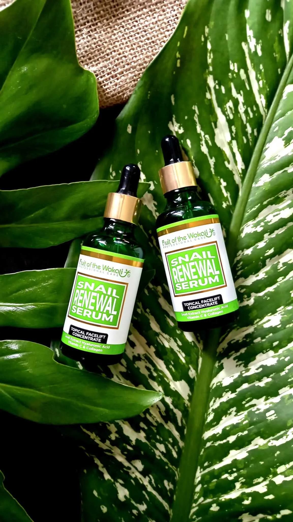 Snail Renewal Serum